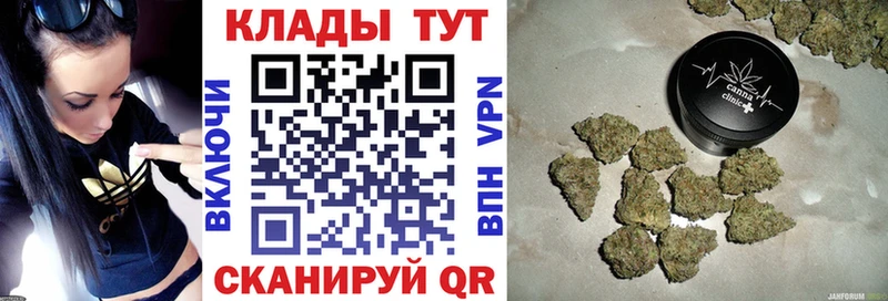 Что такое Гатчина Гашиш COCAIN Мефедрон Псилоцибиновые грибы Канабис