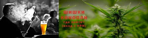 гидропоника Белокуриха