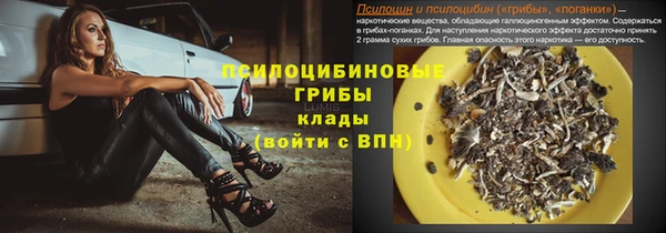 гидропоника Белокуриха