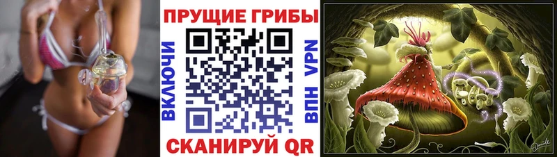 Галлюциногенные грибы прущие грибы  Гатчина 