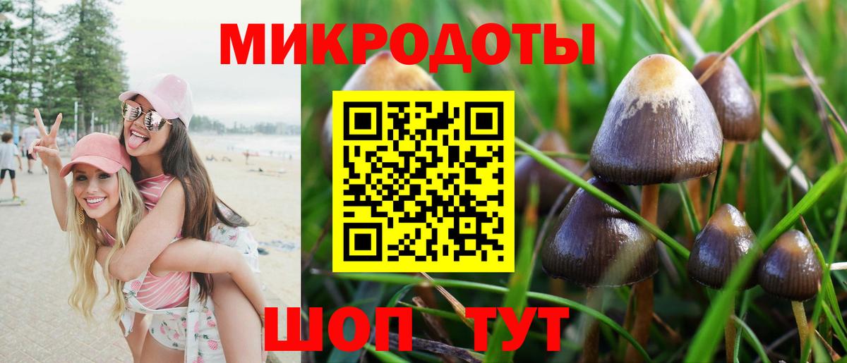Галлюциногенные грибы Psilocybine cubensis  Галлюциногенные грибы прущие грибы  Вход с VPN  Гатчина 