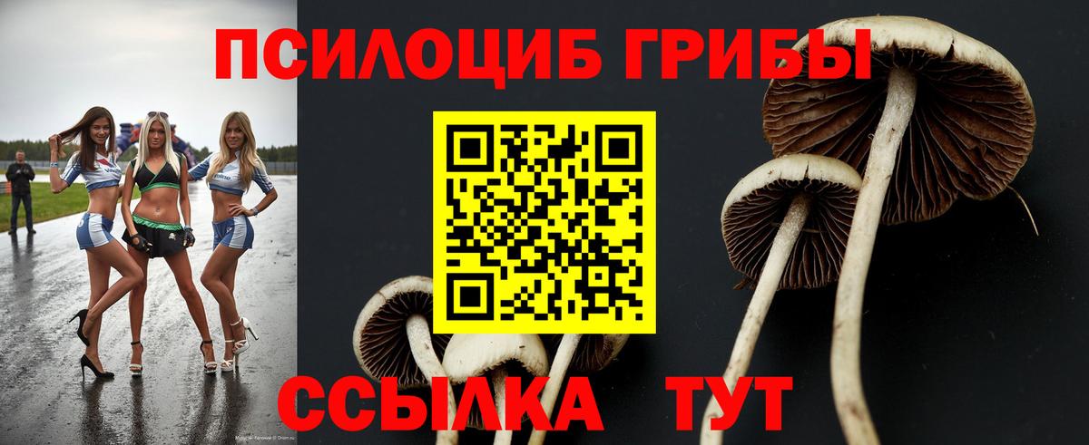 Псилоцибиновые грибы прущие грибы Гатчина