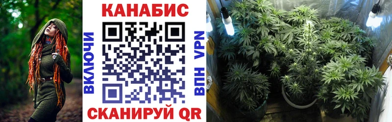 Конопля Ganja  Гатчина 